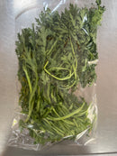 茼蒿 / Speisechrysanthemen 1 Packung / NL