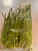 韭菜 / Chinesischer Bärlauch 1 Packung / NL